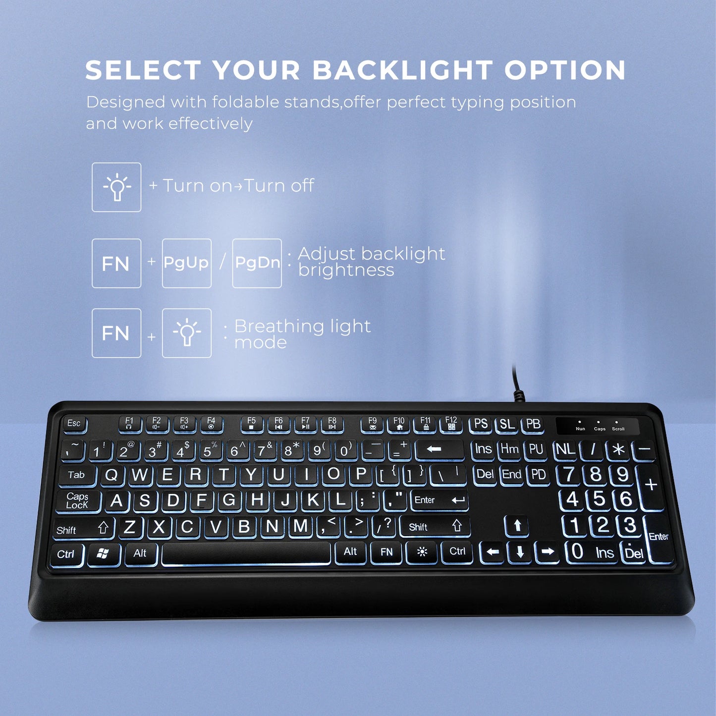 Large Print Backlit Keyboard, USB Wired Computer Keyboard, Full Size Keyboard with White Illuminated LED Compatible for Windows